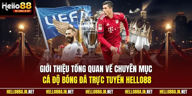 Giới thiệu tổng quan về chuyên mục cá độ bóng đá trực tuyến HELLO88